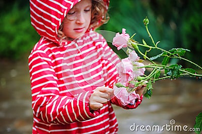 Child girl in red striped raincoat playing with wet roses in rainy summer garden. Nature care concept. Stock Photo