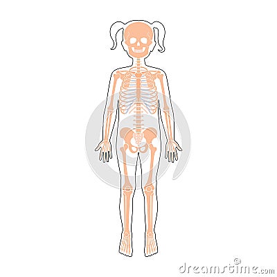 Child girl skeleton anatomy Cartoon Illustration