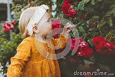 Child girl smelling flowers red roses in garden childhood baby summer lifestyle Stock Photo
