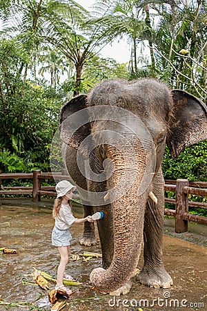 Child girl is washing and cleaning an elephant in sanctuary park at Bali, Indonesia. Stock Photo
