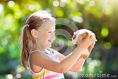 Child with guinea pig. Cavy animal. Kids and pets. Stock Photo