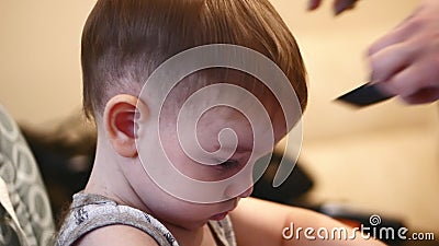 Child Hairstyle. Hairdresser Working with Small Boy in Barbershop. Stylist Combing Hair Child Stock Video - Video of combing, buzz: 103366561 Child Hairstyle. Hairdresser Working with Small Boy in Barbershop. Stylist Combing Hair Child Stock Video - Video of combing, buzz: 103366561