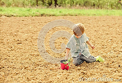 Child having fun with little shovel and plant in pot. Planting in field. Planting seedlings. Little helper in garden Stock Photo