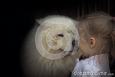 Child kid puppy dog husky care domestic animal concept animal love care friendship kindness Stock Photo