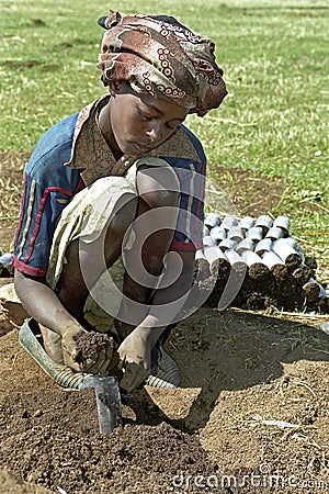 Child labor and reforestation, Ethiopia Editorial Stock Photo