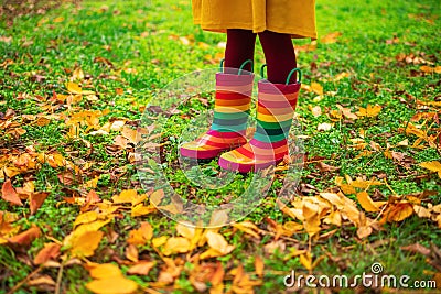 Child legs in boots on background of a golden maple leaves Stock Photo