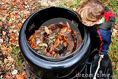 Child looking in compost bin Stock Photo