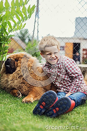 Child lovingly embraces his pet dog. Chow Chow Stock Photo