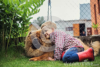 Child lovingly embraces his pet dog. Chow Chow Stock Photo