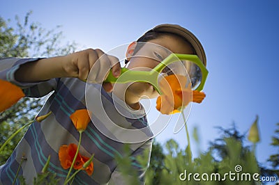 Child observing nature with a magnifying glass Stock Photo