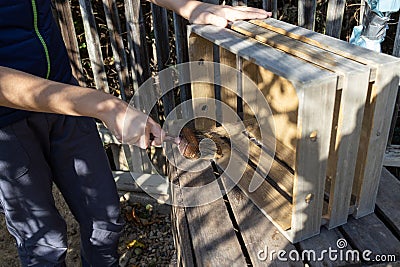 a child paints a wooden box with brushes in the garden Stock Photo