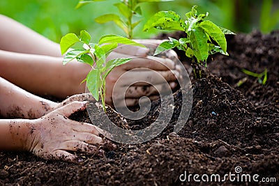 Child and parent hand planting young tree on black soil Stock Photo