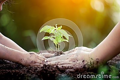 Child and parent hand planting young tree on black soil Stock Photo