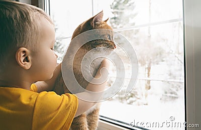 Child and pet at home. Red ginger tabby cat and little toddler boy looking out fo window watching falling snow. Domestic animal Stock Photo