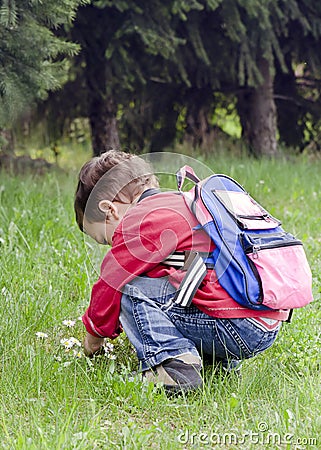 Child picking daisy flowers Stock Photo