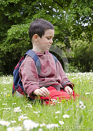 Child picking daisy flowers in spring Stock Photo