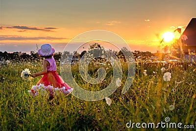 Child picking flowrs Stock Photo