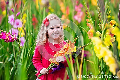 Child picking fresh gladiolus flowers Stock Photo