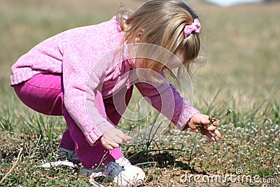 Child picking weeds Stock Photo