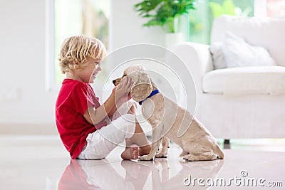 Child playing with dog. Kids play with puppy Stock Photo
