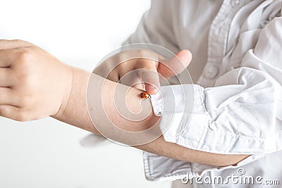 Child playing with a red ladybug Stock Photo