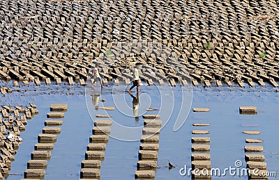 A child playing water in the dam Dam water Colo Nguter Sukoharjo Central Java Indonesia Editorial Stock Photo