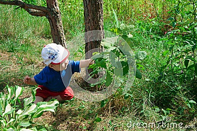 Child pulls the arm to the leaf on a tree branch Stock Photo