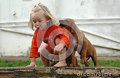 Child and puppy pet Stock Photo