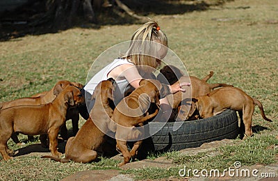 Child and puppy pets Stock Photo