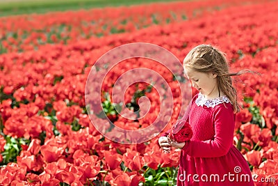 Child in red flower field. Poppy and tulip garden. Stock Photo