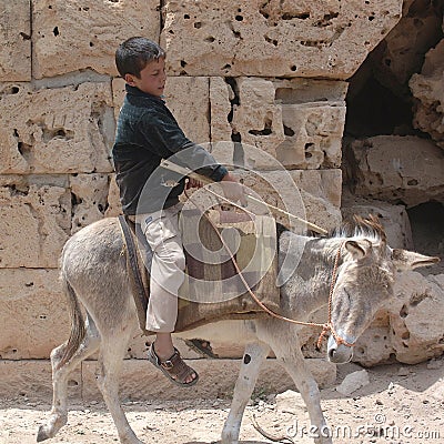 Child riding a donkey Editorial Stock Photo