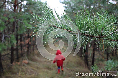 Child run in the forest Stock Photo