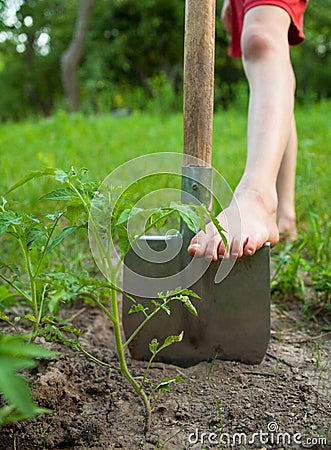 Child`s bare foot on the metal spade Stock Photo