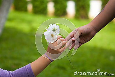 Child's hand giving flowers to her friend Stock Photo