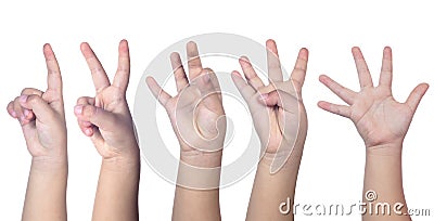 Child`s hands counting from one to five Stock Photo