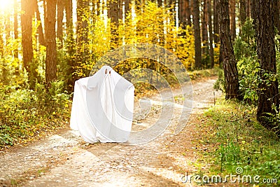 A child in sheets with slits like a ghost costume in an autumn forest scares and terrifies. A kind little ghost. Halloween Party Stock Photo