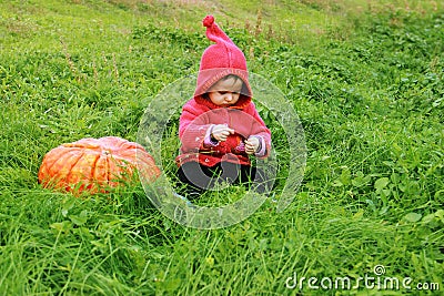 Child sit turn the floor on grass near huge pumpkin. Sunny warm day. copy space for text. The symbol and carnival costume of holid Stock Photo