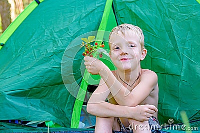 The child sits in a green tourist tent in forest and holding strawberries Stock Photo