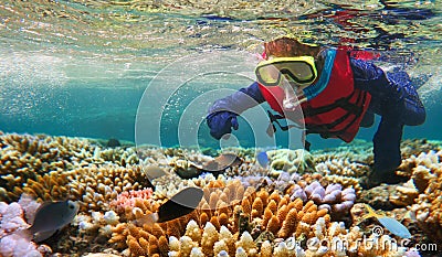 Child snorkeling in Great Barrier Reef Queensland Australia Stock Photo