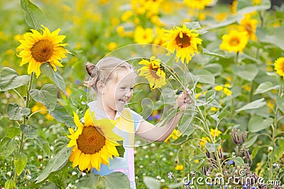 Child in sunflower field. Kids with sunflowers. Stock Photo