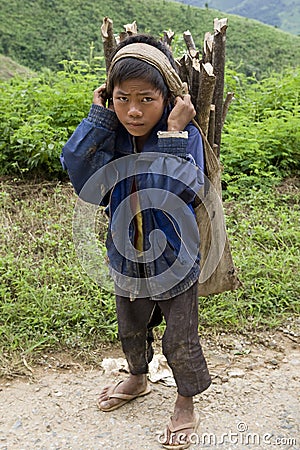 Child transports firewood, Laos Stock Photo