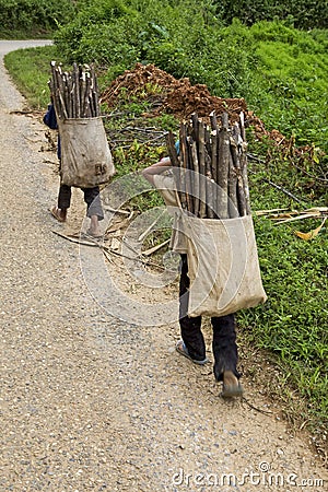 Child transports firewood, Laos Stock Photo