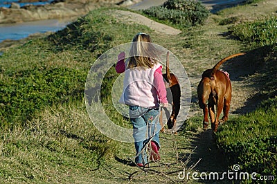 Child walking dogs Stock Photo