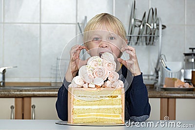 Child wants to eat the cake. Kid greedily looks at the cake Stock Photo