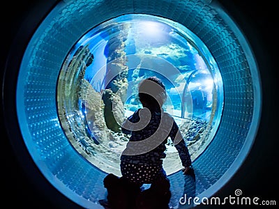 Child watches the sea fish in aquarium Stock Photo