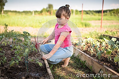 The child is weeding garden,help parents, ecology Stock Photo