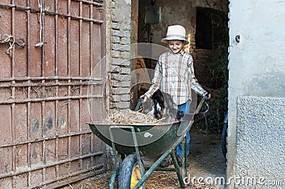 Child carries around a cat in a barrow Stock Photo