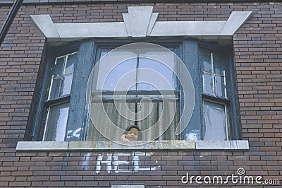 Child in window of residential project building, South Bronx, New York Editorial Stock Photo