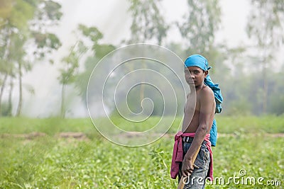 A child worker at looking in potato plantation field in Thakurgong, Bangladesh. Editorial Stock Photo