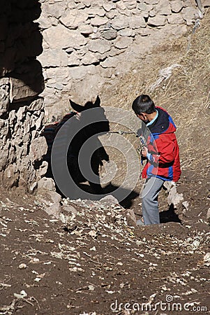 Child worker Editorial Stock Photo